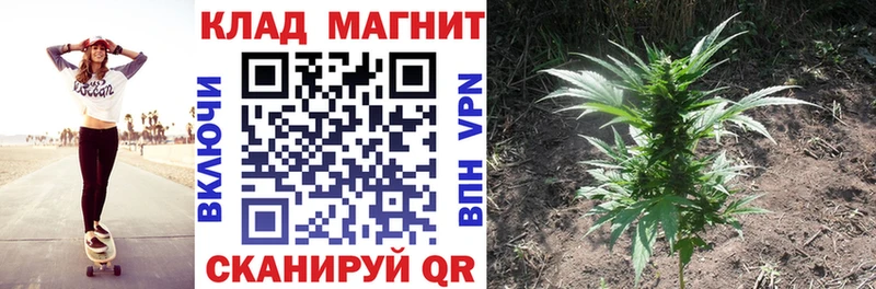 Где продают наркотики Иннополис Cocaine Мефедрон Амфетамин ГАШ