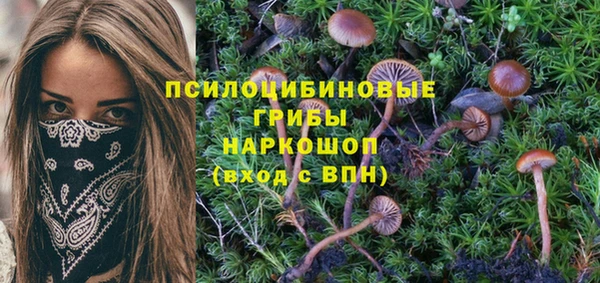 таблы Зеленодольск